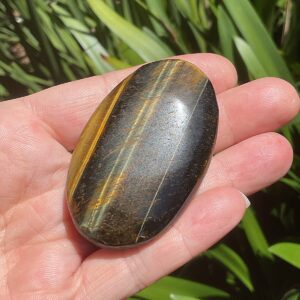 Tigers Eye Palm Stone