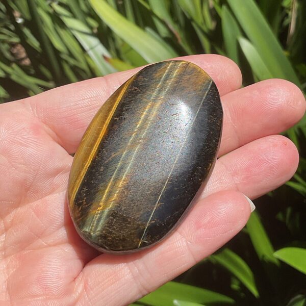 Tigers Eye Palm Stone