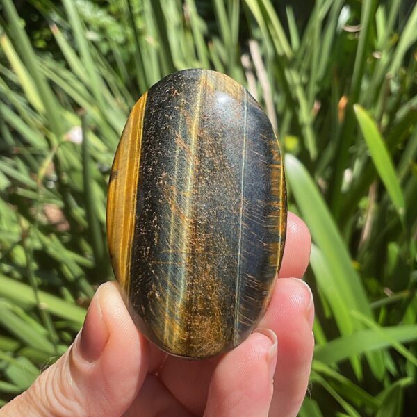 Tigers Eye Palm Stone - Image 2
