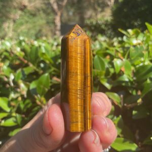 Tigers Eye Tower
