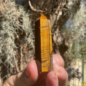 Tigers Eye Tower