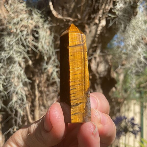 Tigers Eye Tower