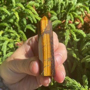 Tigers Eye Tower