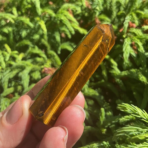 Tigers Eye Tower - Image 3