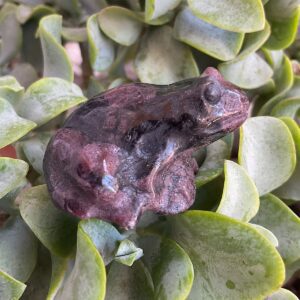 Arfvedsonite gemstone frog