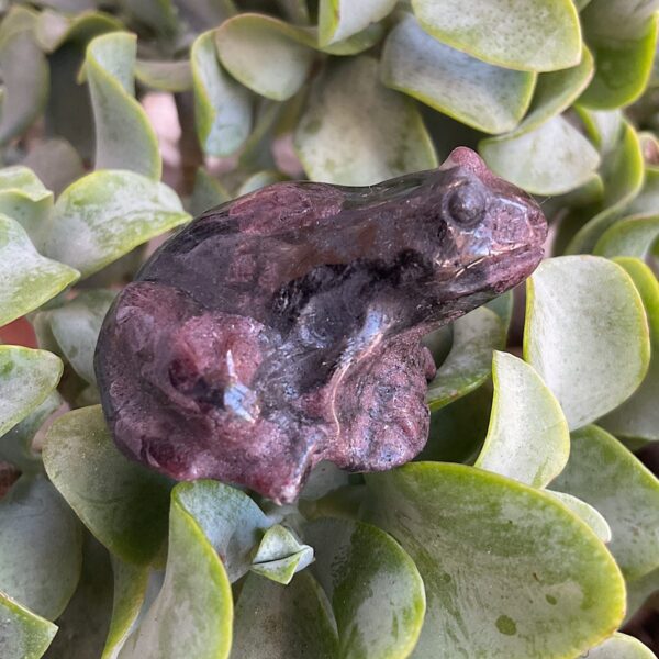 Arfvedsonite gemstone frog