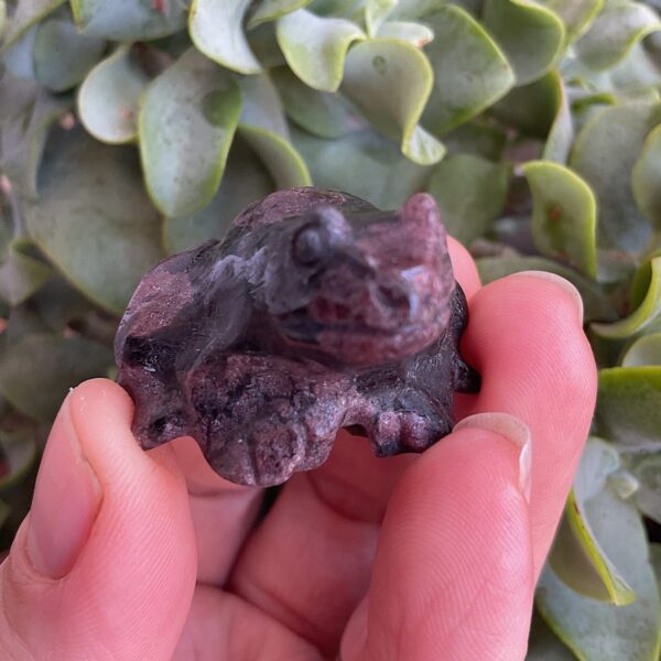 Arfvedsonite frog - Image 3