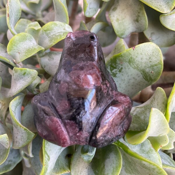 Arfvedsonite frog - Image 2