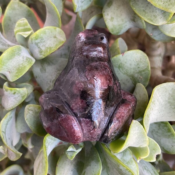 Arfvedsonite frog - Image 4