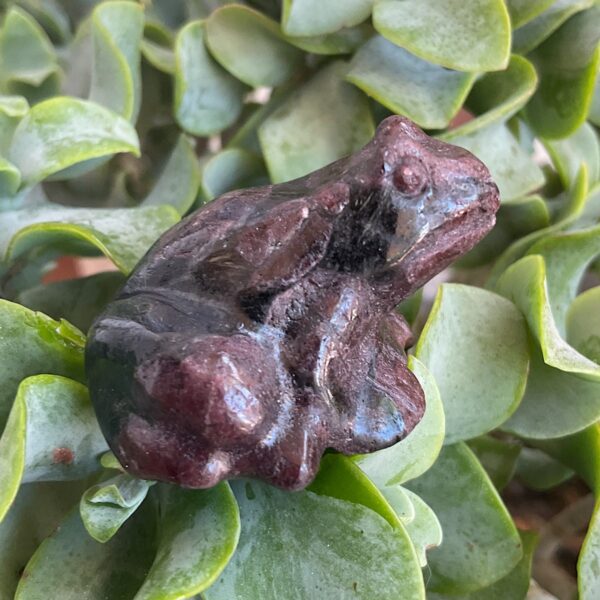 Arfvedsonite frog