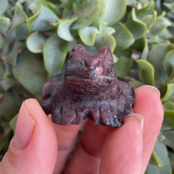 Arfvedsonite frog - Image 2