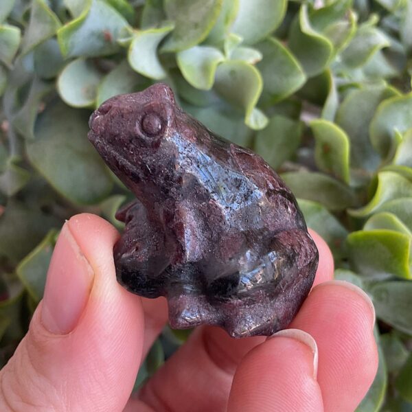 Arfvedsonite frog - Image 3