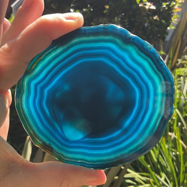 Bird Agate Slice - Image 3