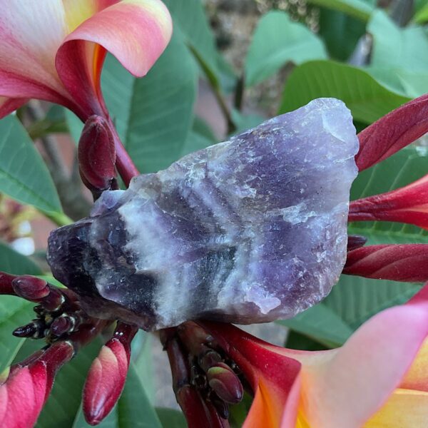 Chevron Amethyst Stem