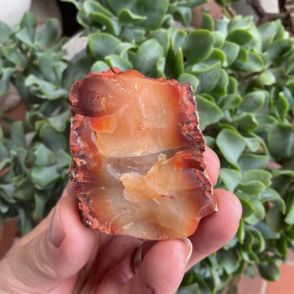 Raw carnelian chunk