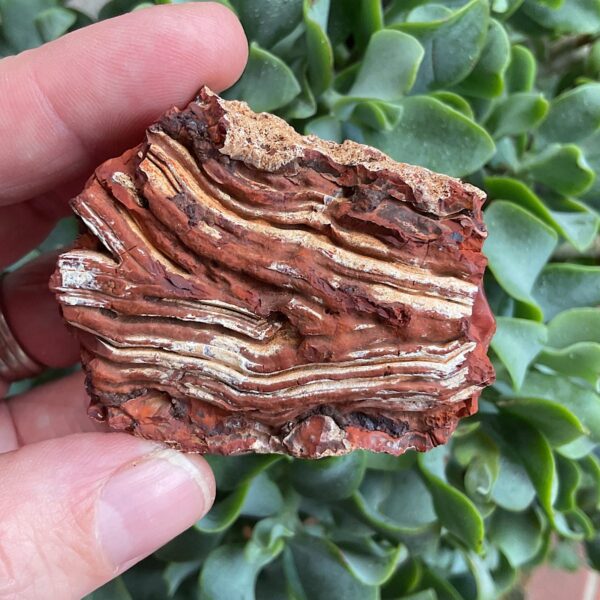 Raw Carnelian - Image 2