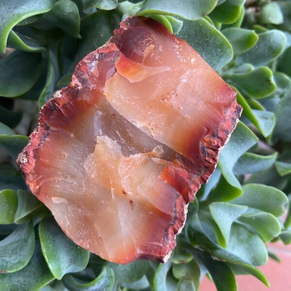 Raw Carnelian - Image 3