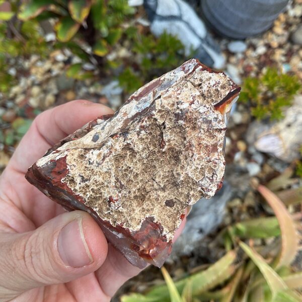 Raw Carnelian - Image 2