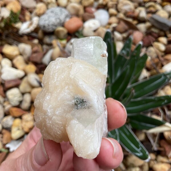 Apophyllite On Peach Stilbite - Image 4