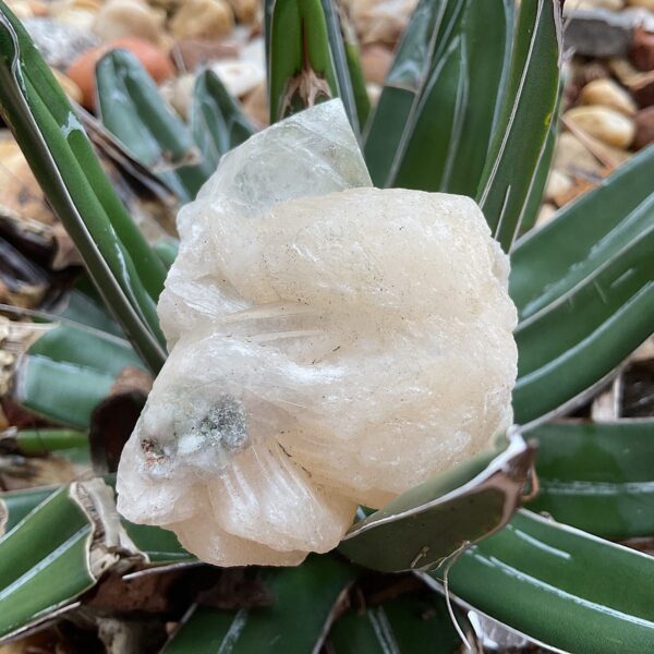 Peach stilbite with Apophyllite