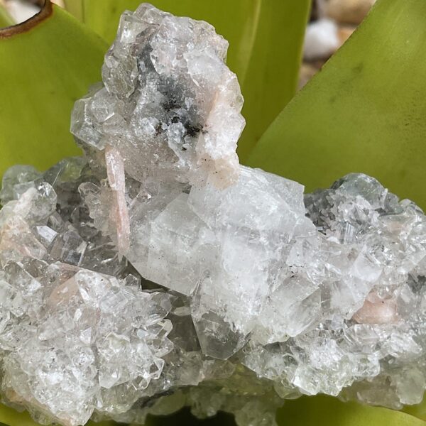 Apophyllite with Peach Stilbite - Image 2