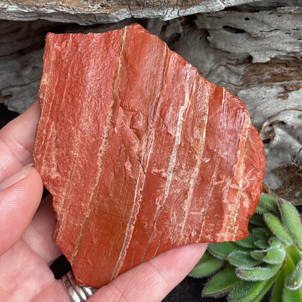 Dragon Red Jasper Slab - Image 3