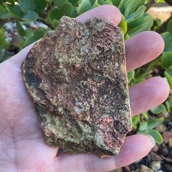 Seahorse Unakite Slab - Image 4