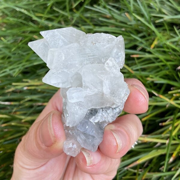 Apophyllite Cluster