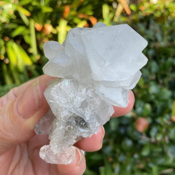Apophyllite Cluster