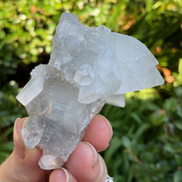 Apophyllite Cluster