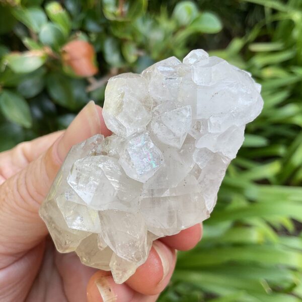 Aprophyllite cluster Mineral