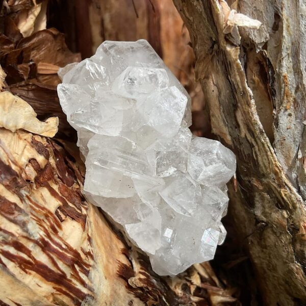 Aprophyllite cluster Mineral