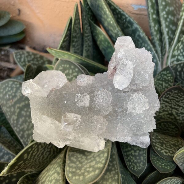 Apophyllite on Chalcedony - Image 2