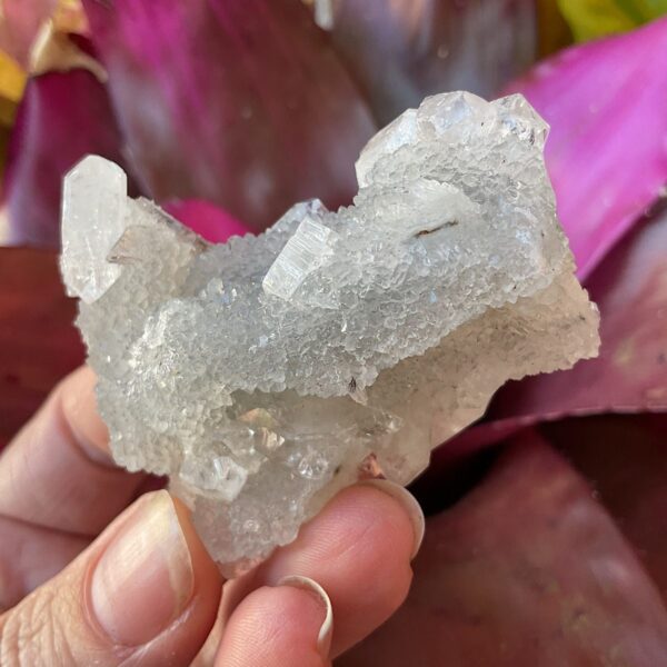 Apophyllite on Chalcedony - Image 4