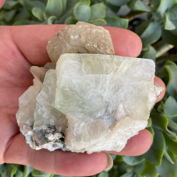 Green Apophyllite Cluster - Image 4