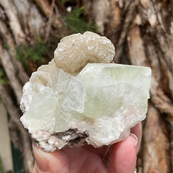 Green Apophyllite Cluster