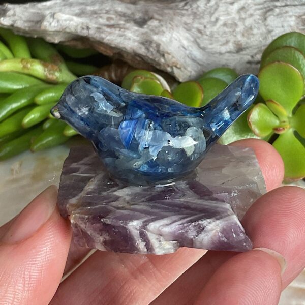 Kyanite bird set in resin with amethyst