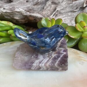 Kyanite bird set in resin with amethyst
