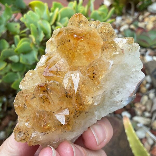 Citrine crystal cluster