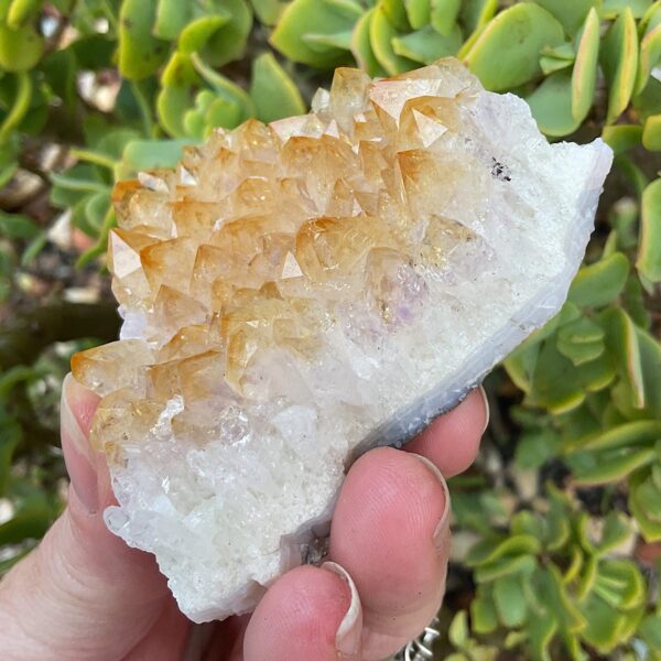 Crystal citrine cluster