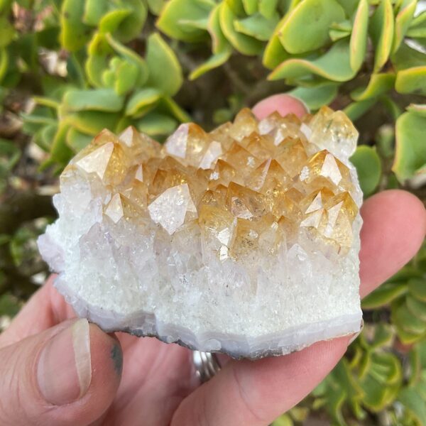 Crystal citrine cluster