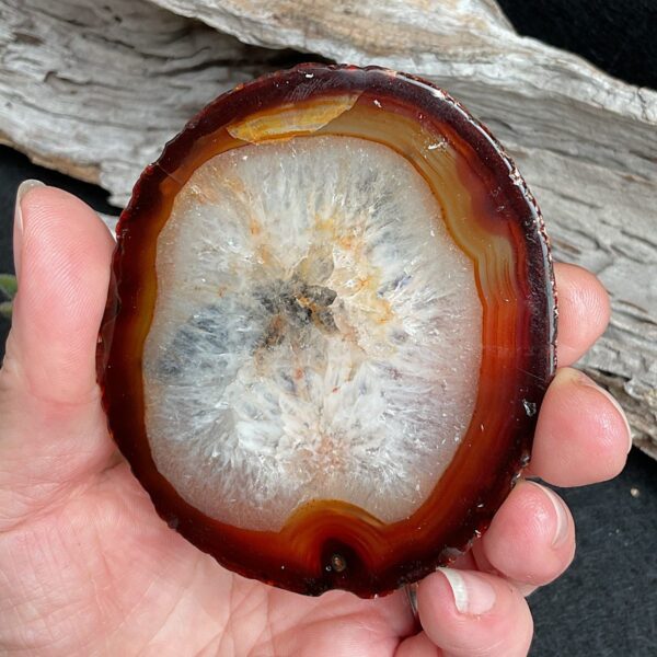 Wolf Agate Slice - Image 4