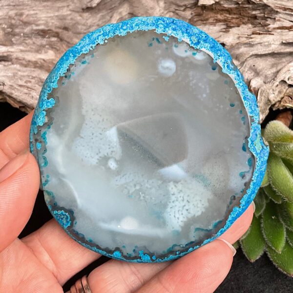 Wolf agate slice