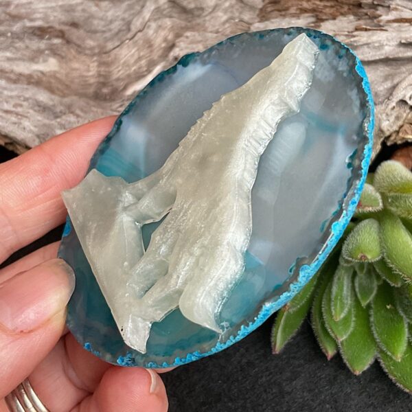 Wolf agate slice