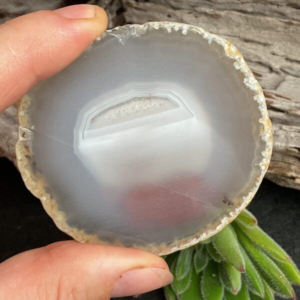 Rabbit Agate Slice - Image 3