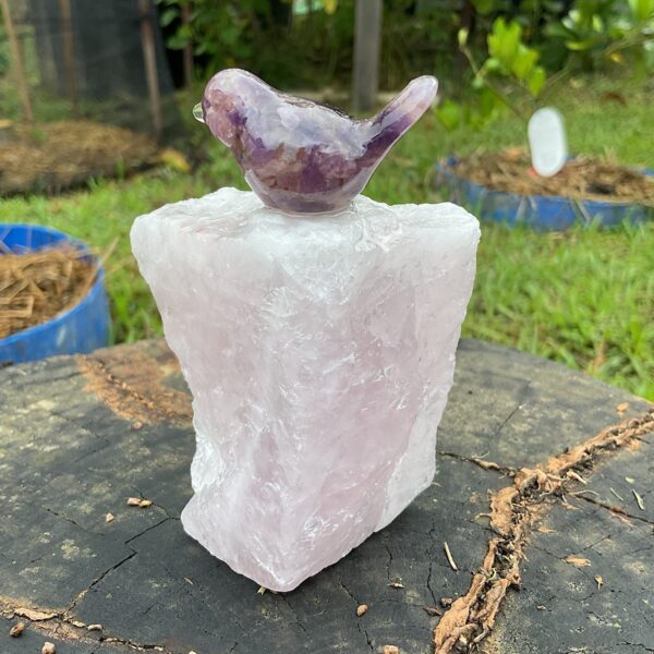 Bird on Rose Quartz