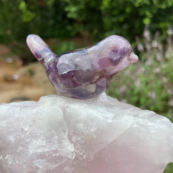 Bird on Rose Quartz