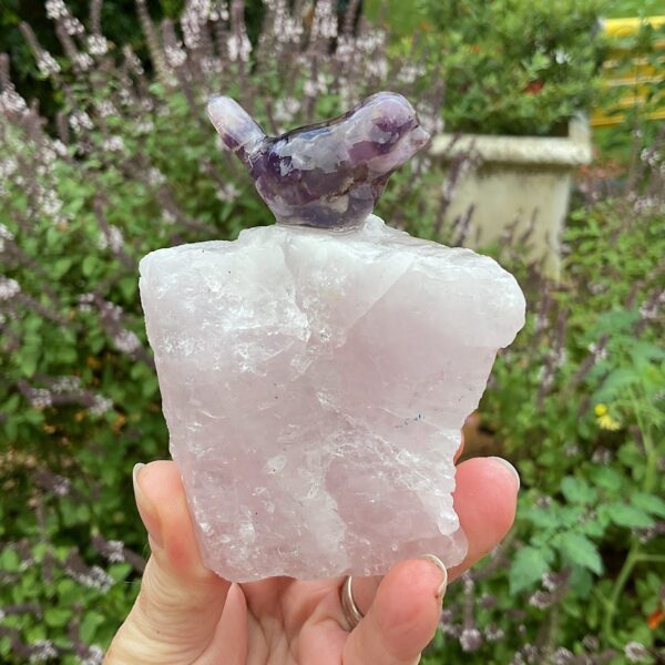 Bird on Rose Quartz