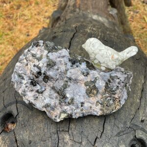 Bird on Llanite