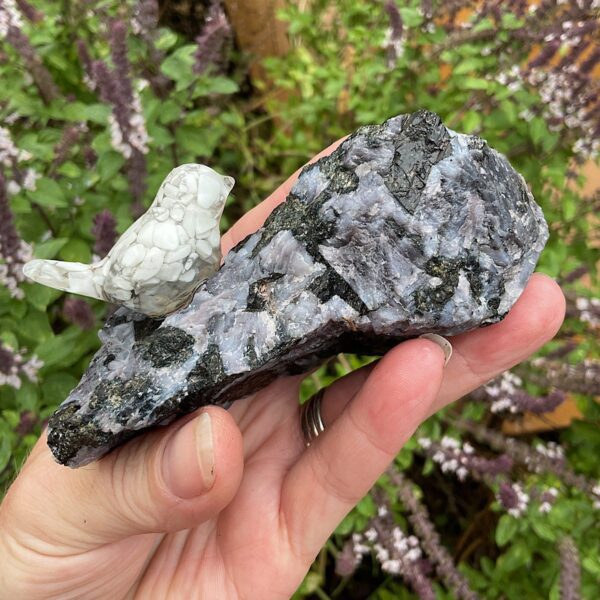 Bird on Llanite - Image 2
